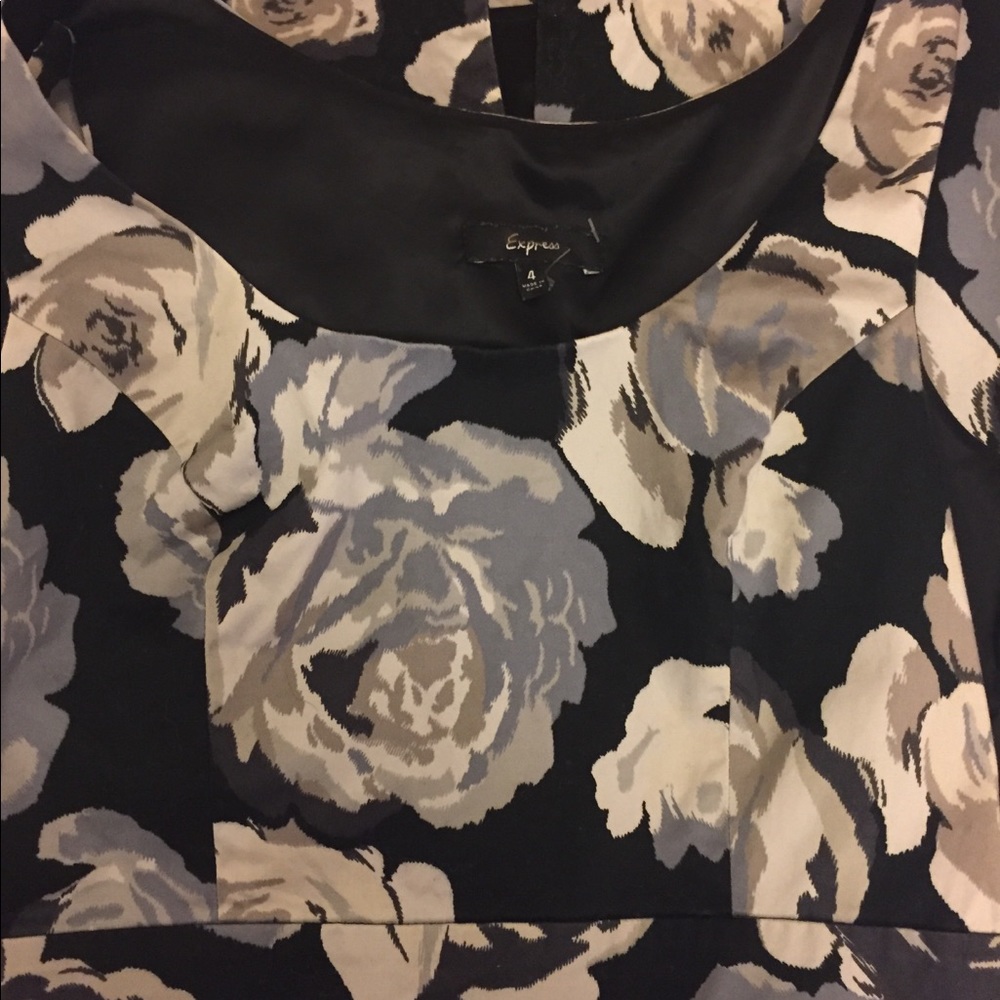 Express Floral Dress